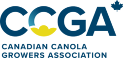 CCGA New Logo 2024